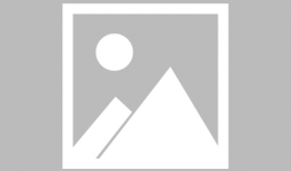 虐猫漫画,揭秘虐猫漫画背后的黑暗心理